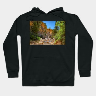 Lick Wash Trail Hike Hoodie